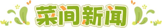 菜间新闻