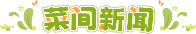菜间新闻